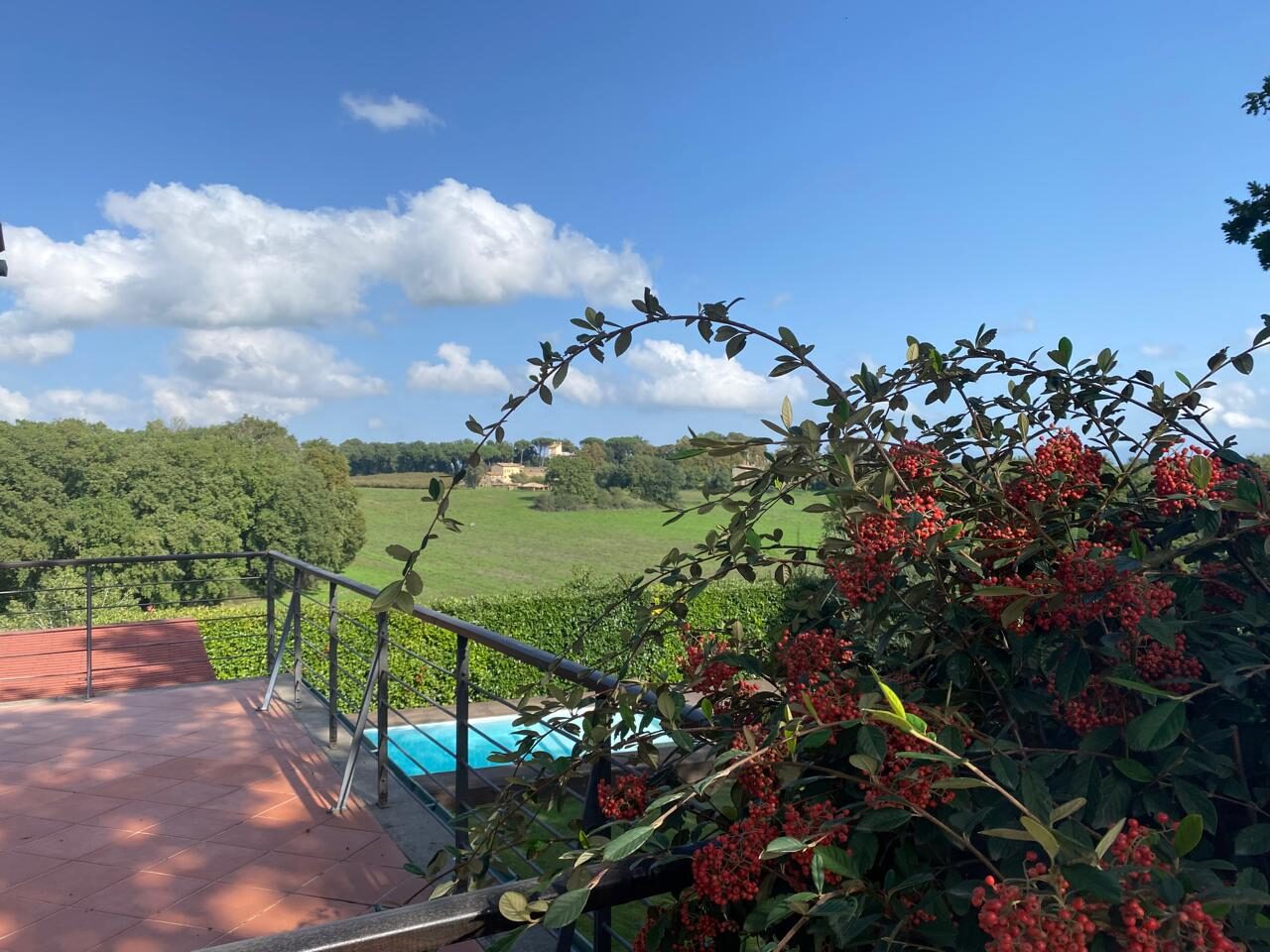 Terrazza con fiori rossi e vista sulla campagna laziale